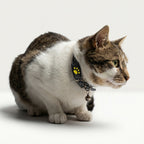 GPS Tracker for Dogs and Cats – Real-Time Location, Lightweight