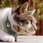 GPS Tracker for Dogs and Cats – Real-Time Location, Lightweight