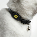 GPS Tracker for Dogs and Cats – Real-Time Location, Lightweight