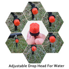 Fog Cooled Automatic Irrigation System 3