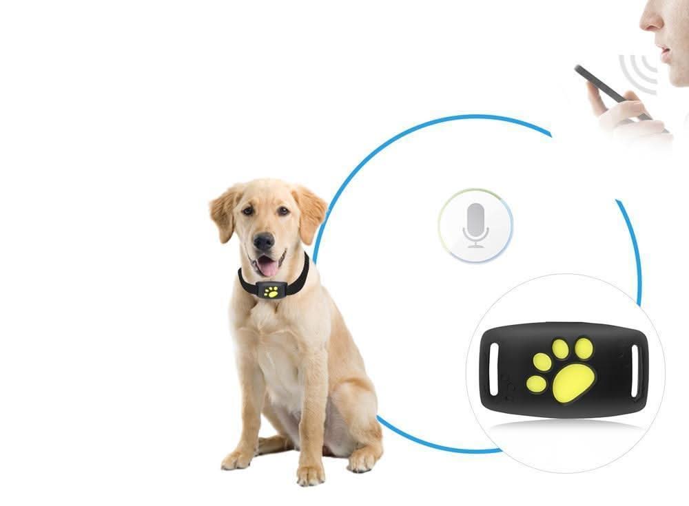 GPS Tracker for Dogs and Cats – Real-Time Location, Lightweight