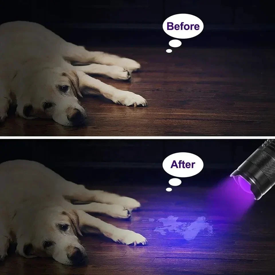 LED UV FLASHLIGHT - ULTRAVIOLET INSPECTION LAMP FOR PET URINE SPOTS AND STAIN DETECTION 4