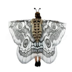 Nachtvlinder Cape Grey Moth – Elegante Vleugelomhang voor Creatieve Momenten | Sansoti 5