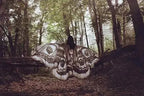 Nachtvlinder Cape Grey Moth – Elegante Vleugelomhang voor Creatieve Momenten | Sansoti 7