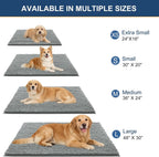 Ultra Absorbent Chenille Doormat 30x20" | Non-Slip Washable Pet Mat for Indoor Entryway, Grey 1